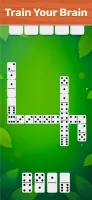 Dominoes Board Game