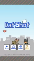 Cat Shot