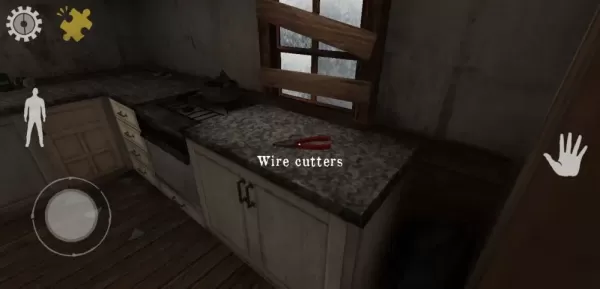 Mr Meat: Horror Escape Room