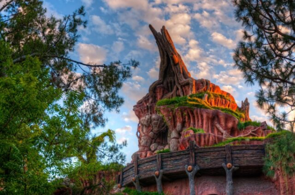 Disneyland®
