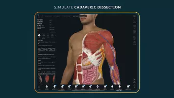 Complete Anatomy 2024