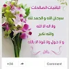 amal shogie
