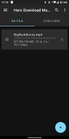 Hero Download Manager