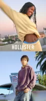 Hollister Co.