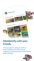 ObsIdentify