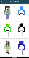 Dream Skins for Minecraft PE