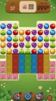 Fruits Magic Sweet Garden