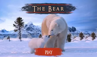 The Bear