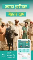 गाय भैंस खरीदें बेचें Animall