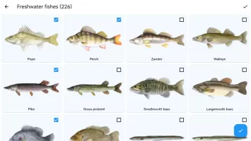 Fish Planet Calendar