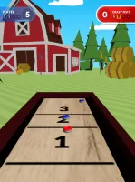 Shuffleboard Challenge