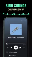 Ringtones for Android™