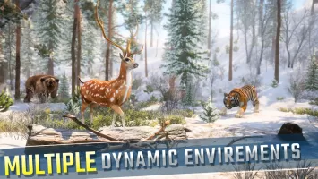 Wild Animal Hunting Games FPS