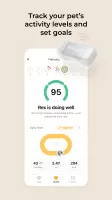 Petcube
