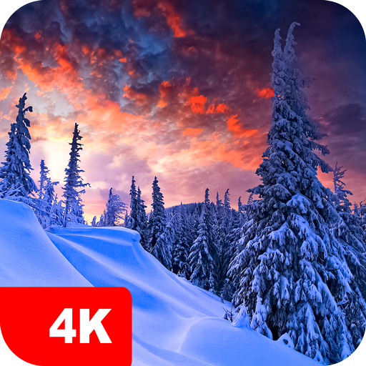 Winter Wallpapers 4K