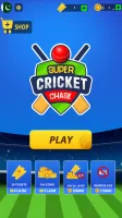 Super Chase Cricket Challenge