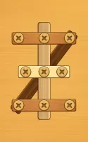 Screw Puzzle