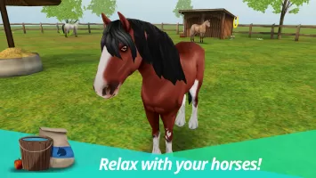 Horse World – My Riding Horse