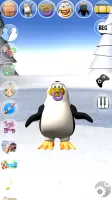 Sweet Little Talking Penguin