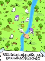 Human Evolution