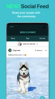 Dog Scanner