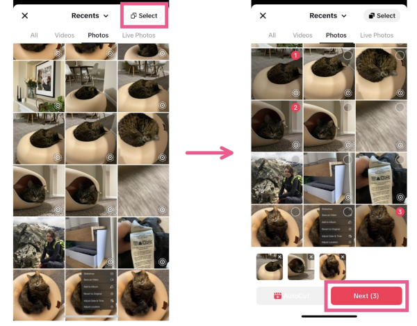 How to Add Pictures to TikTok Videos？