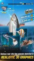 Ace Fishing