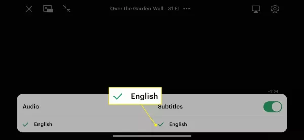How to Use Hulu Subtitles？