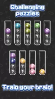 Sorting Ball Quiz
