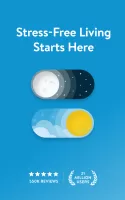 Insight Timer