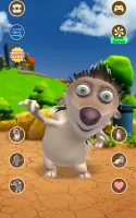 Talking Hedgehog
