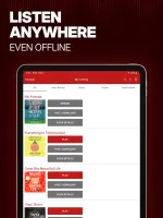 Audiobooks Now Audio Books