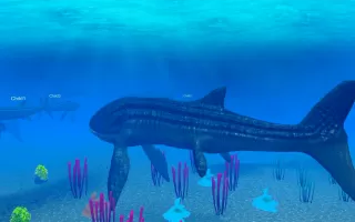 Leedsichthys Simulator