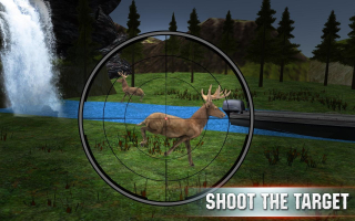 Deer Hunter