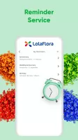 LolaFlora