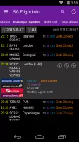 Singapore Flight Info