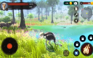 The Ostrich