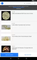 LiveAuctioneers