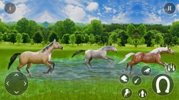 Wild Horse Riding Sim: Racing