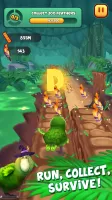 Kakapo Run