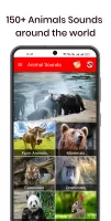 150 Animal Sounds