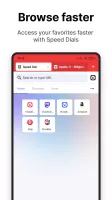Vivaldi Browser