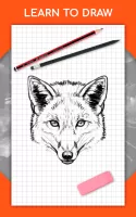 How to draw animals by steps