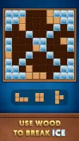 Brain Wood Puzzle