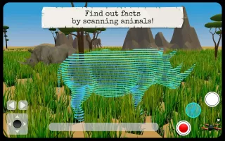 Wild Animals VR Kid Game