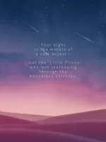 Poly Star : Prince story