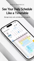 Daily Schedule