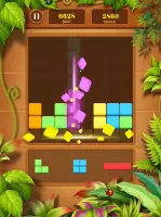 Drag n Match: Block puzzle