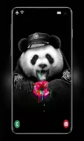 Cute Panda Wallpaper