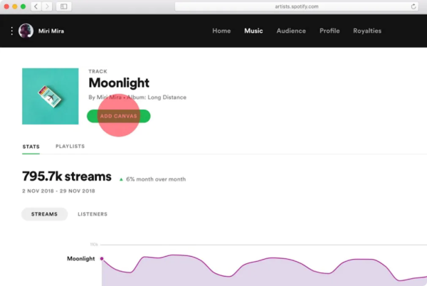 How to Make a Spotify Canvas Like a Pro？